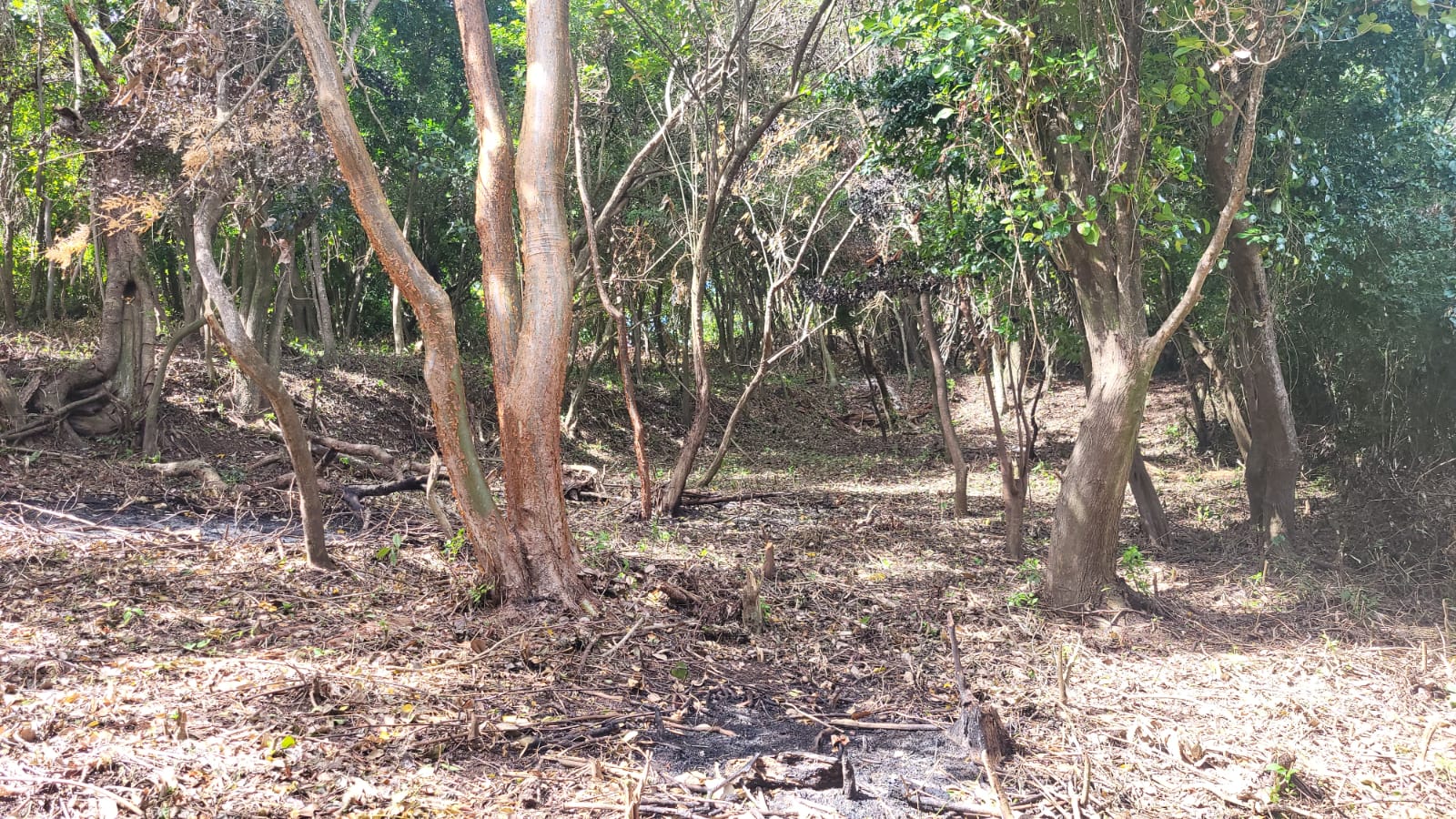 Property For Sale: Lot 1 Land For Sale Fairhall RefVHFHR408